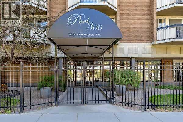 207, 339 13 Avenue SW